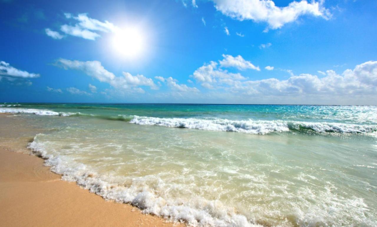 Admiral Plaza C 53 Private Cozy Studio Sunny Beach Esterno foto